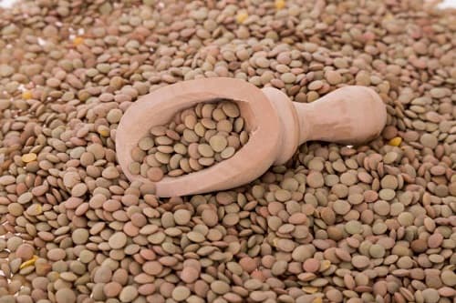 تصویر 1 از فروش عدس زود پز + قیمت خرید به صرفه